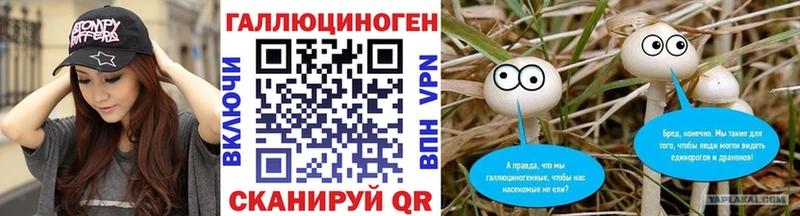 Псилоцибиновые грибы Psilocybine cubensis  Буинск 